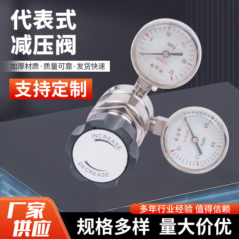 304不锈钢气体减压阀双表式调压表实验室气体调压阀高精度减压阀