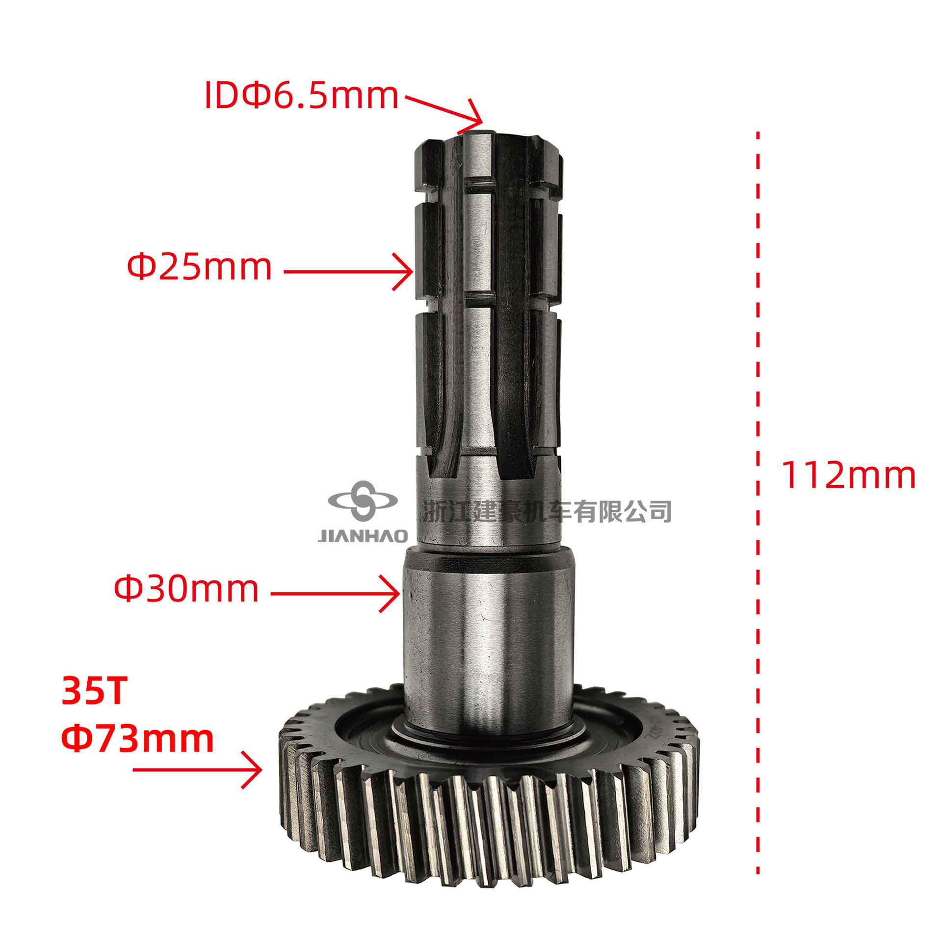 ATV go-kart engine gear output shaft and shift shaft assembly