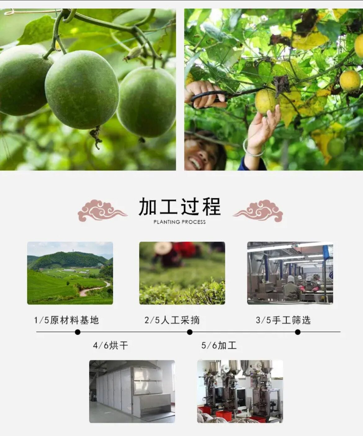 Dried Luo Han Guo Monk Fruit Large Grade Guangxi Guilin Specialty Herbal Tea 30 Pieces 60-63mm key features