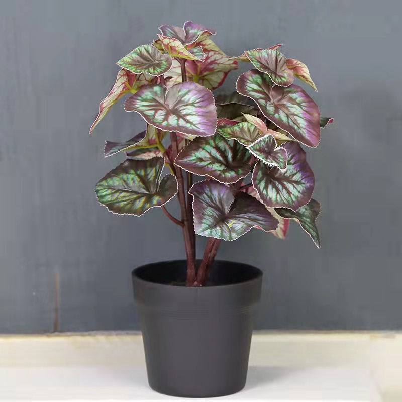 O1CN01A9gMu31watrAOHkZ0_!!2212