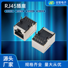 RJ45 10P10C��ʽ����L�w21.3�_������ĸ�� RJ45 10P10C�W�ڲ���