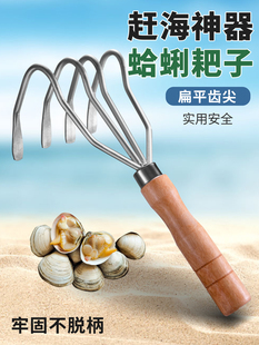 Dig Clam Rake Dig Oyster Shell Beach Clam Crab Clam Clam Clam Snail Tool