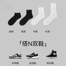 男女士新疆棉袜子中长短四季款运动袜透气吸汗防臭学生小白袜