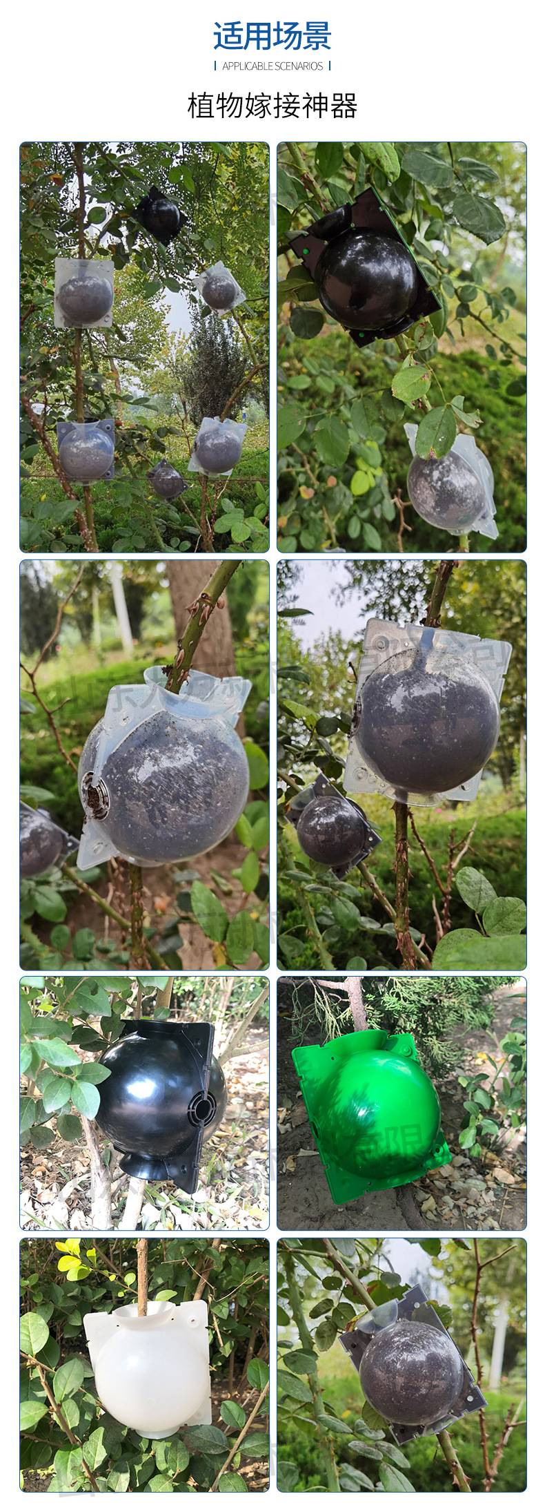 基础详情33_01_09