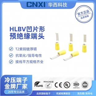 Cnxi Huaxi Technology Lbv1.25-5.5 Concave Chip-Shaped Pre-Insulated Terminal Cold-Pressed Terminal Series Copper National Standard