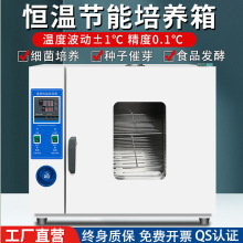 電熱恆溫培養箱實驗室細菌霉菌微生物細胞植物種子發芽箱恆溫箱