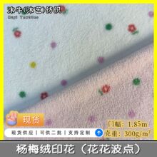 秋冬时尚女装杨梅绒印花双面花花波点雪粒绒花朵印花家居服围巾