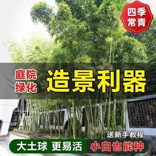 һ�����l������ͥԺ�����ļ�����ֲ���^�p�������S��������������