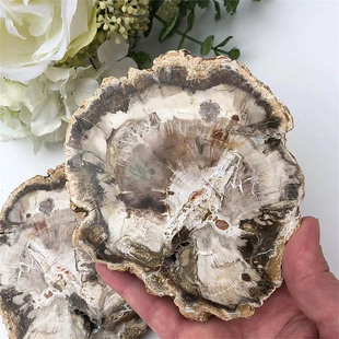 ��Ȼľ��ʯ��Ƭ�仯��ԭʯ��Ƭ�����ﻯʯ�Ҿ��k���豭�|�[�����l