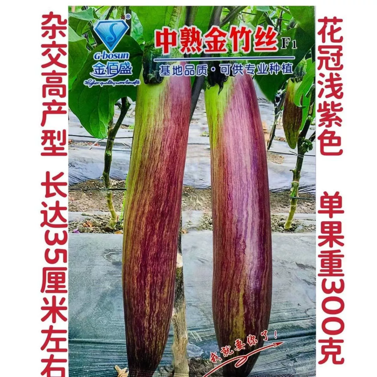 Среднеспелые семена золотистого бамбука Шелковые баклажаны Устойчивые ко вкусу Сладкие длинные баклажаны Среднеспелые Цветочные баклажаны Высокоурожайные устойчивые к болезням Семейные Семена овощей на балконе