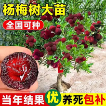 �ɾӖ|����÷������Ϸ��޽Ӻ�̿ˮ������������ش�|������Y��