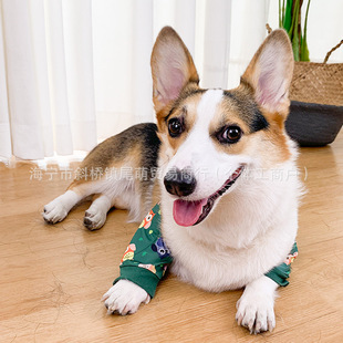 �����o��»��P�����o�׷������K�o�������oϥ���o�׿羳����