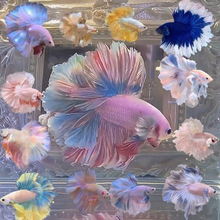 ̩�����~���~��Ů��鼆�~���¼��׶��~���~����Ꭷ�~С�~�^�p�~