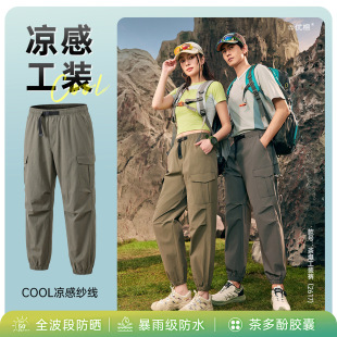 �豬���bѝ2026�¿��ļ����z�ٸ����������@�����eѝ�\��ѝ2617