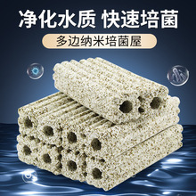 ^VմɭhʯӢ~׃ˮ{׼ݞVĞVĶ߅B