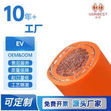 ����Դ EV ������ �߉����γ�늘��B�Ӿ� �͜���ȼ�����ӹ�