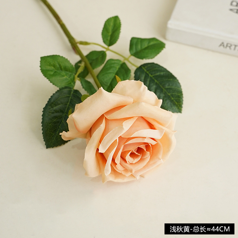 밝은 가을 노란색