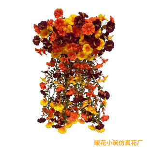 �＾����16��110Ŀ���@��ţ���ȼ����Ҿӑ���ͥԺ�b��滨��