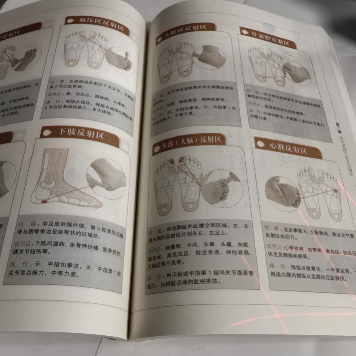 Complete Guide to Foot Therapy and Symptomatic Health Care
