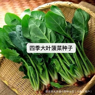 �ļ����~���˷N���ļ��׷Nԭ���B�����ѷN�ӿ����͟��ͺ�Խ���߲�