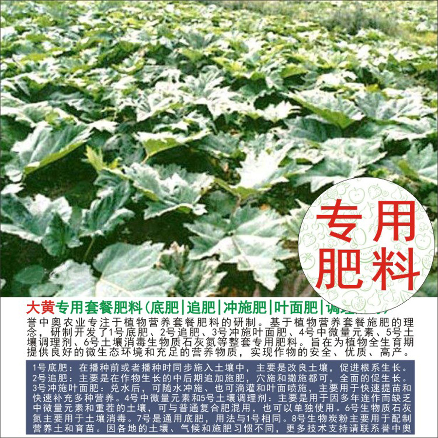 50�����а´��ר���л��ʸ��Ϸʵ׷�׷��Ҷ��ʳ�ʩ��ˮ�ܷ�