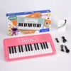 Synthesizer, strawberry red microphone, strawberry, 32 keys