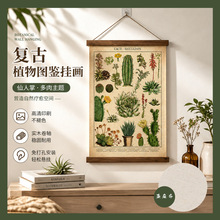 亚马逊热卖复古亚麻植物图鉴挂轴画客厅卷轴画玄关挂画装饰画