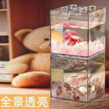 泰国斗鱼缸高清亚克力桌面积木缸生态养鱼创意景观透明躲避屋套餐