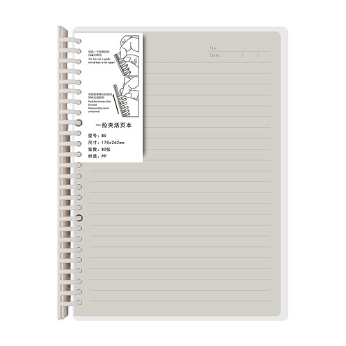 PP pull-out expandable detachable 26-hole 20-hole grid memo pad A5 B5 spiral notebook pad