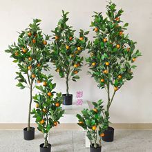 仿真金桔樹橘子樹帶果盆栽酒店家居擺件裝飾品盆景仿真橘子樹裝飾