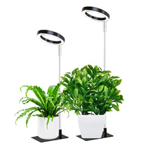 LED����ֲ���90����������ʹ�����������ȫ���׻��ܶ���ֲ�ﲹ