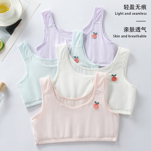 Girls' Intimates Vest Development Period Primary School Students Junior High School Students Kidsren's First Stage Anti-Bulge Bra 10-12-13 Years Old