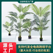 嚴選北歐高仿真園藝綠植夏威夷葵室內造景盆栽散尾葵裝飾客廳假樹