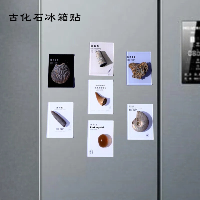 Natural Geniality Paleontological Fossil Specimen Refrigerator Stickers Magnetic Stickers Home Decoration Creative Gift Fossil Original Stone Gift Natural Geniality Paleontological Fossil Specimen Refrigerator Stickers Magnetic Stickers Home Decoration Creative Gift Fossil Original Stone Gift