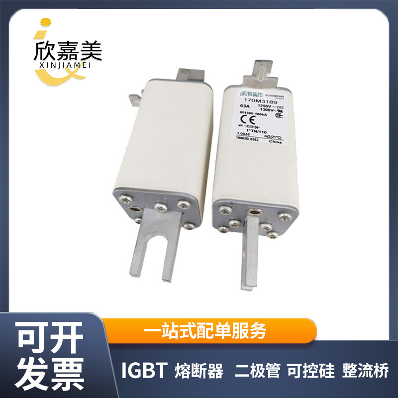 170M3189 170M3197 170M3245快速熔断器型号齐全 标准封装 速发货