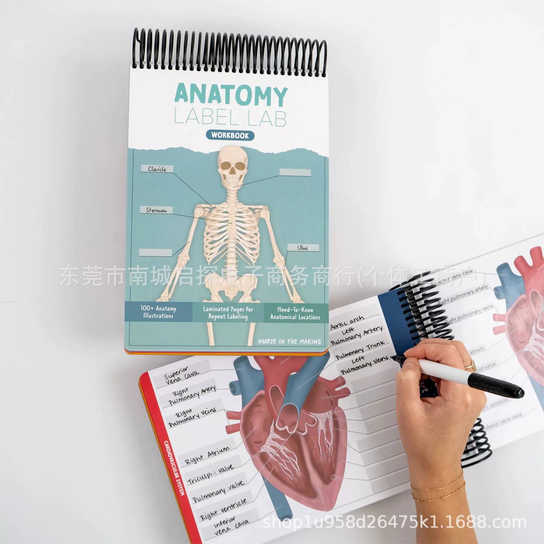 Новый предмет — рабочая тетрадь по анатомии с метками (Anatomy Label Lab Workbook)