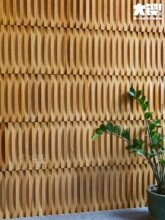 �t��ľԭľ�A�����l�F�����b�ۘǲ��Ӱ��g�͏d�ҕ���P������