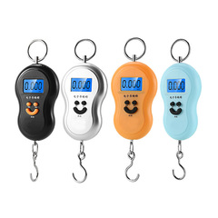 Electronic scale for shopping and weighing, portable mini express scale, portable spring scale