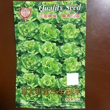 五洲牌意大利全年生菜种籽菜园院子种植蔬菜种子电商批发厂家直销