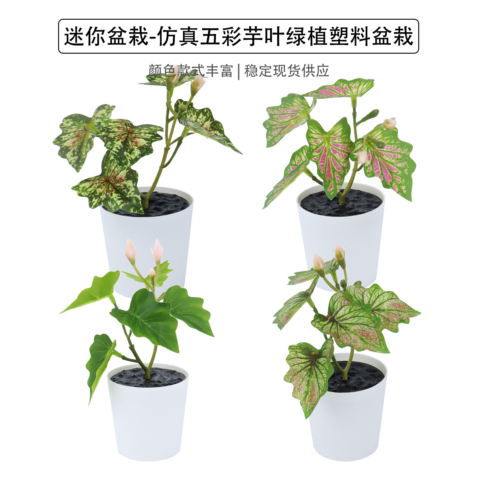 迷你塑料盆栽 五彩芋马蹄莲叶仿真塑料盆景桌面摆件礼品仿真绿植