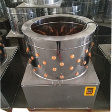 �Ĵ�����50���u��Óë�C���P��ԄӼ���Óëȥë�C�u���ZÓë�Cһ