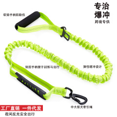 Amazon 新製品ペット犬リード犬の散歩反射リード防爆ペット用品犬リードメーカー