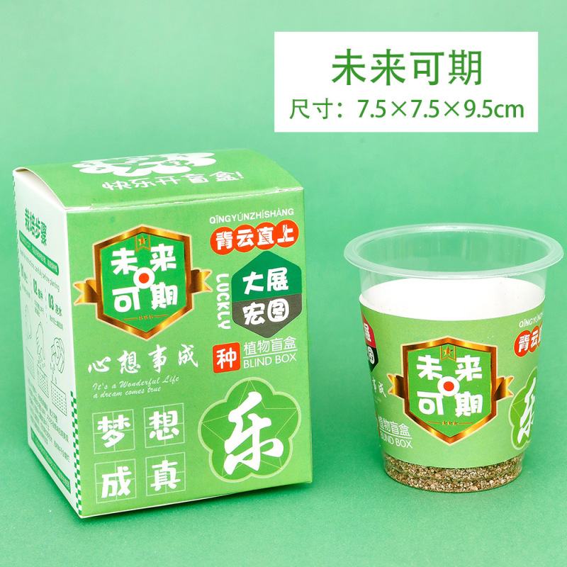 子供用植栽ミニプランター、学生用プラスチック賞品、卓上グリーン、ブラインドボックス、幼稚園ギフト、クリエイティブな小さな贈り物|undefined
