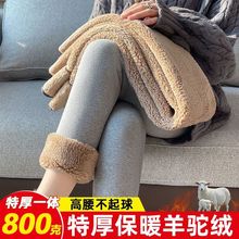 ���q���ѝŮ�⴩�����ӽq�Ӻ��������һ�w�|���غ��a��ѝ