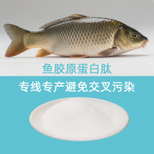 鱼胶原蛋白肽小分子活性肽高蛋白多肽专线专产避免交叉污染