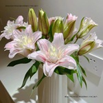 高级粉色重瓣香水百合鲜花云南昆明基地直销水培插花拜佛用花切花