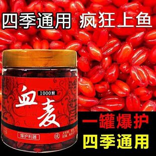 Ѫ���D�~�D����Ұ឴��hС���r�D���������~�tɫ��������ͨ��