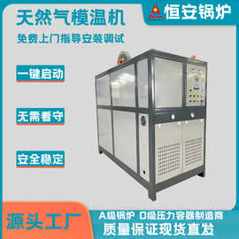 免登记30万大卡燃气模温机40万大卡燃气熔盐炉 工作温度300-500度