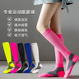 运动休闲棉袜;船袜、隐形袜;商务袜
