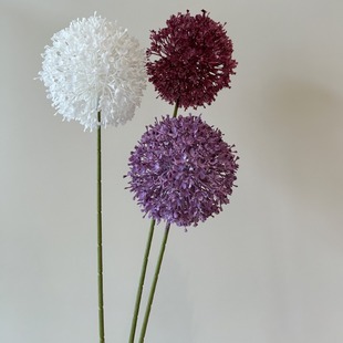 �¿���[����滨��c���A�λ��^���z�b[�żٻ�diy�廨õ�廨